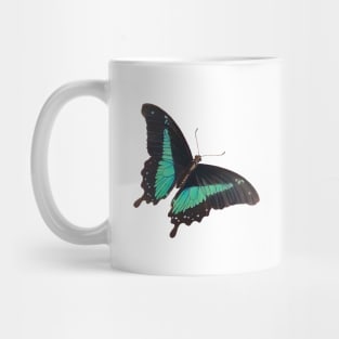 Black and Blue Swallowtail Butterfly Mug